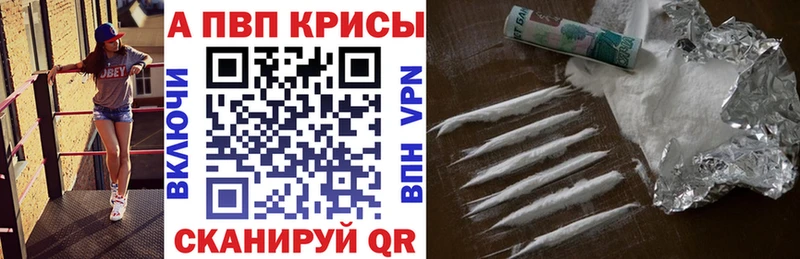 A PVP СК КРИС Тамбов