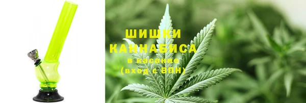 шишки Абинск