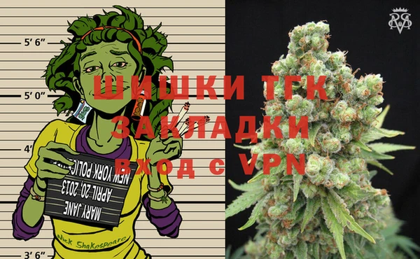 шишки Абинск