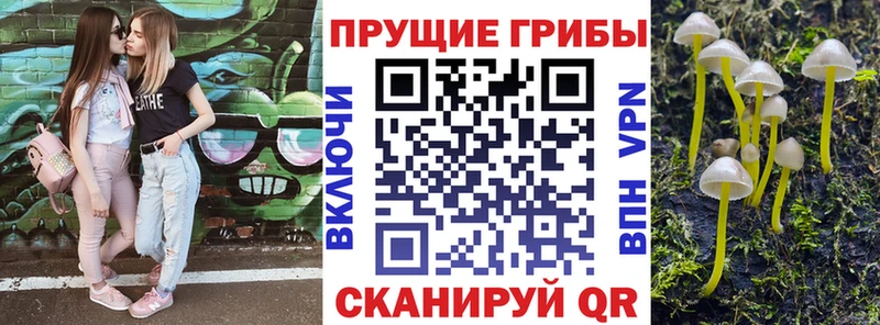 Галлюциногенные грибы Psilocybe  магазин    Тамбов 