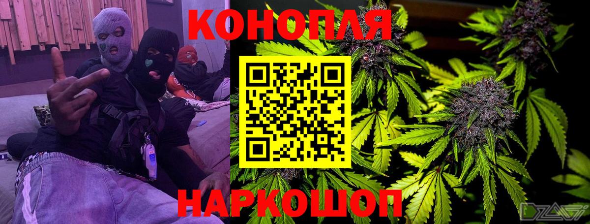 Шишки марихуана ГИДРОПОН  Бошки Шишки VHQ  Каннабис план  Вход с VPN  Тамбов 